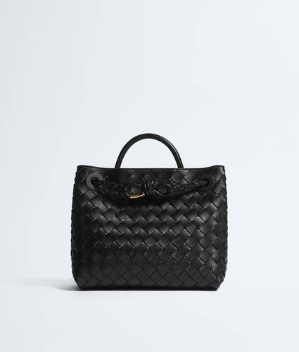 Bottega Veneta Small Andiamo