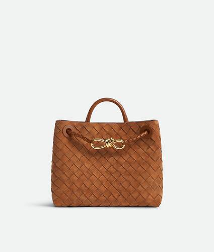 Bottega Veneta Small Andiamo