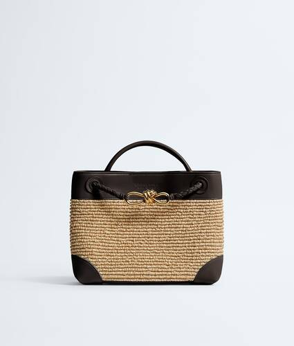 Bottega Veneta Small Andiamo