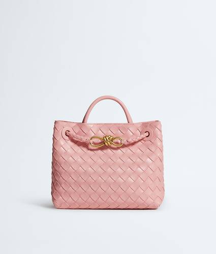Bottega Veneta Small Andiamo