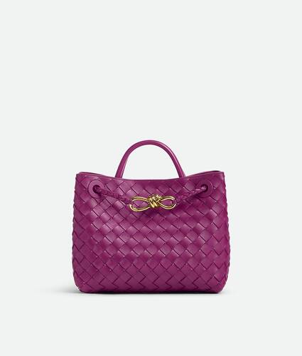 Bottega Veneta Small Andiamo