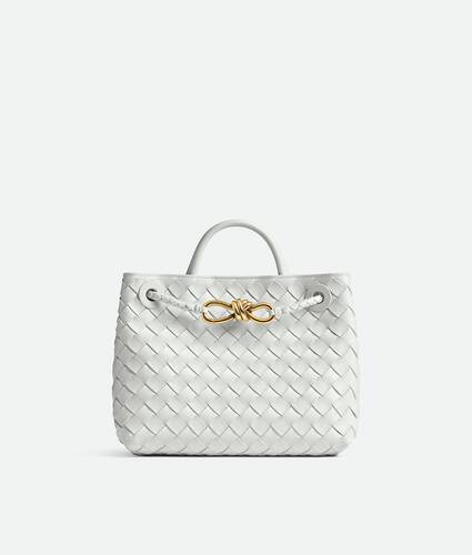 Bottega Veneta Small Andiamo