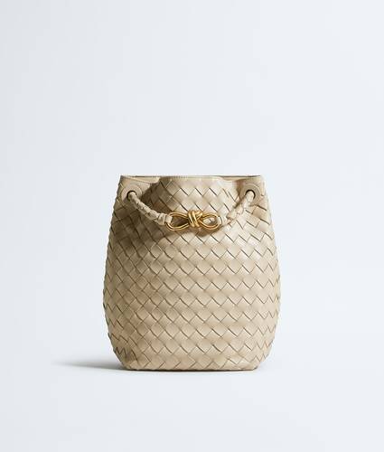 Bottega Veneta Andiamo Small Bucket