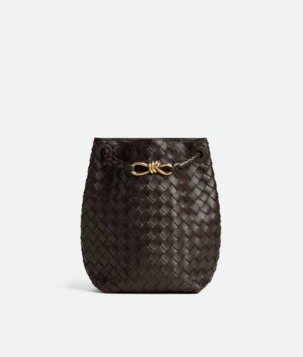 Bottega Veneta Small Andiamo Bucket