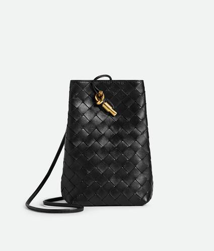 Bottega Veneta Andiamo Phone Pouch