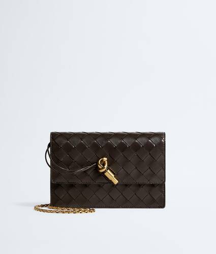 Bottega Veneta Andiamo Pouch On Chain