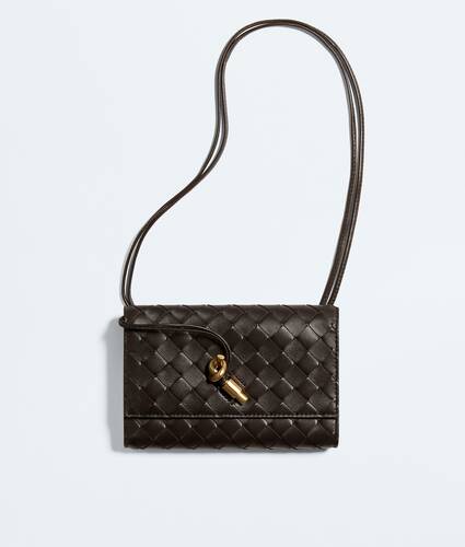 Bottega Veneta Andiamo Pouch on Strap