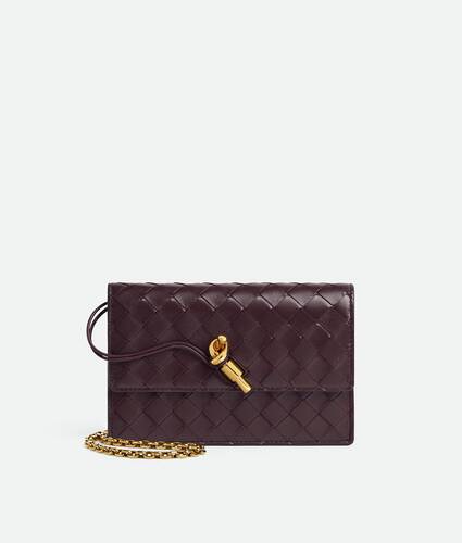 Bottega Veneta Andiamo Pouch on Chain