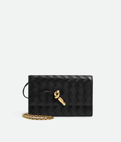 Bottega Veneta Andiamo Pouch on Chain