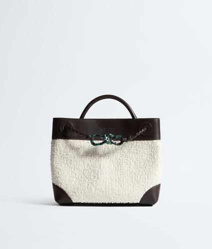 Bottega Veneta Small Andiamo