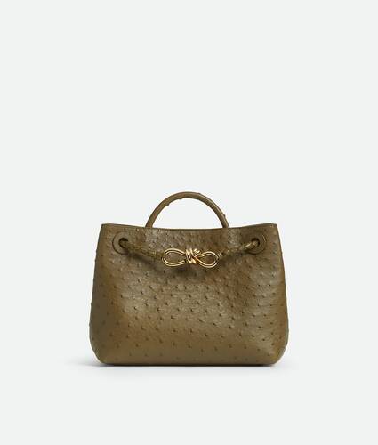 Bottega Veneta Small Andiamo