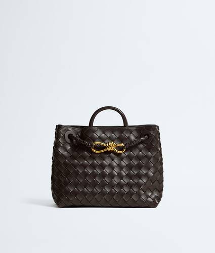 Bottega Veneta Small Andiamo