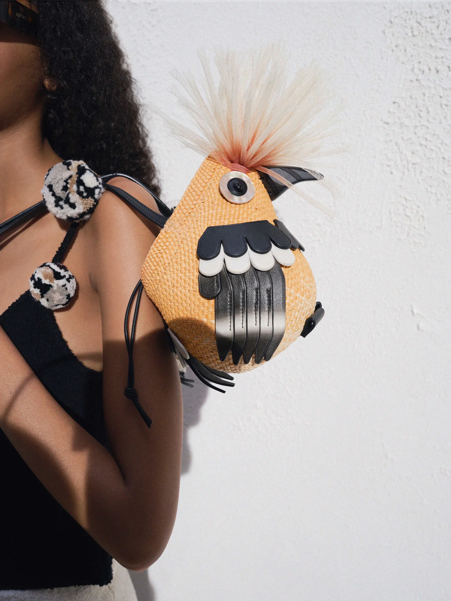 Loewe Bird bag in iraca palm and calfskin
