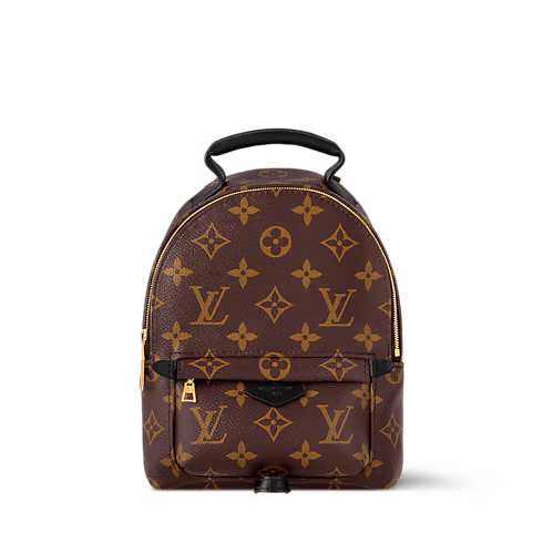 Louis Vuitton Palm Springs Mini